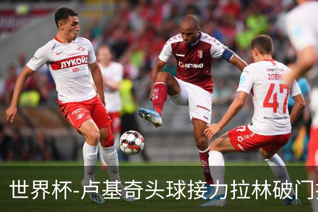 世界杯-卢基奇头球接力拉林破门扳平 加拿大1-1波黑
